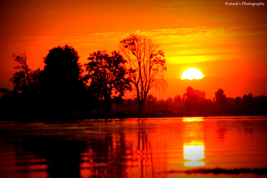 Char Chinar@Dal Lake, Kashmir